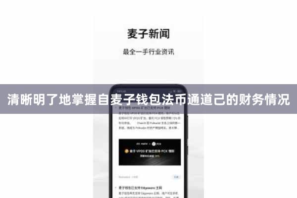 清晰明了地掌握自麦子钱包法币通道己的财务情况