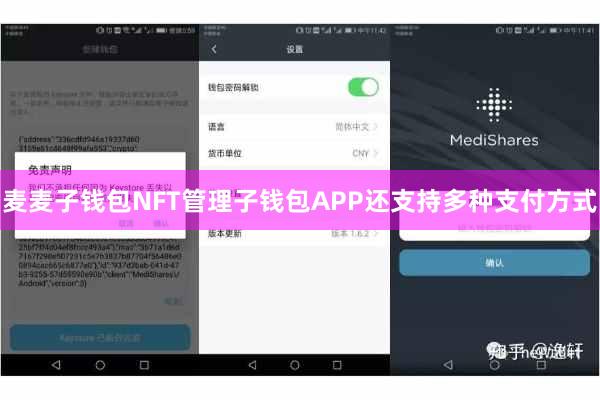 麦麦子钱包NFT管理子钱包APP还支持多种支付方式