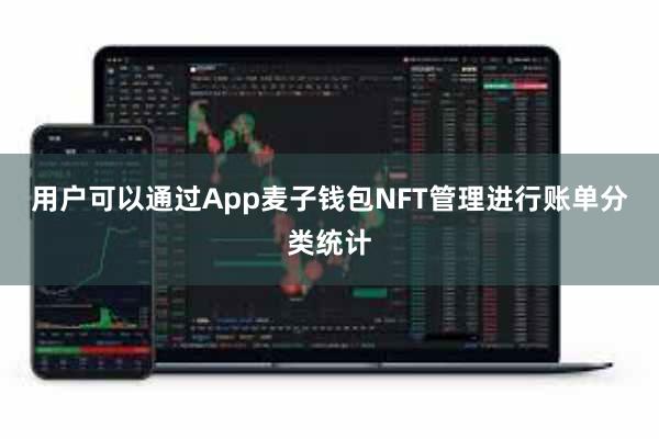 用户可以通过App麦子钱包NFT管理进行账单分类统计