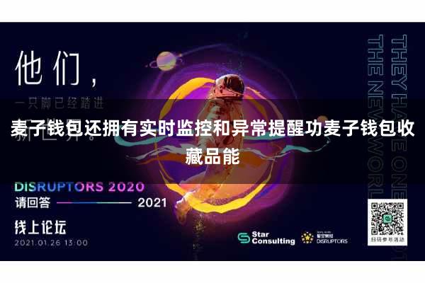 麦子钱包还拥有实时监控和异常提醒功麦子钱包收藏品能
