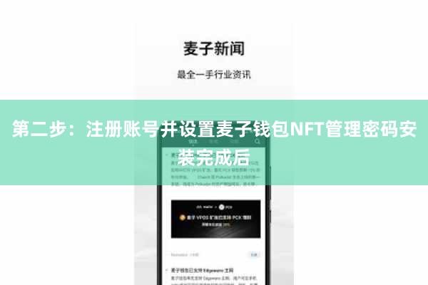 第二步：注册账号并设置麦子钱包NFT管理密码安装完成后