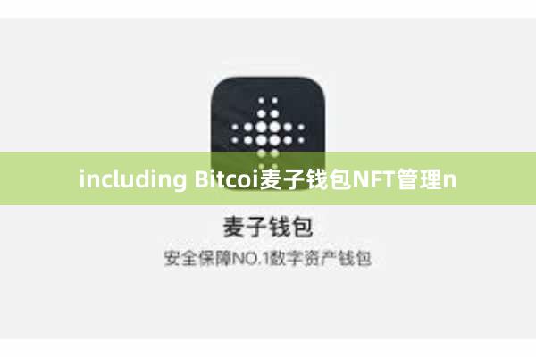 including Bitcoi麦子钱包NFT管理n