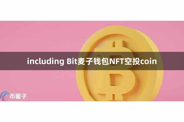 including Bit麦子钱包NFT空投coin