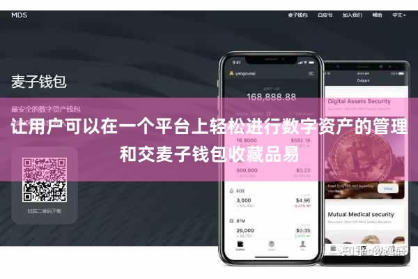 让用户可以在一个平台上轻松进行数字资产的管理和交麦子钱包收藏品易