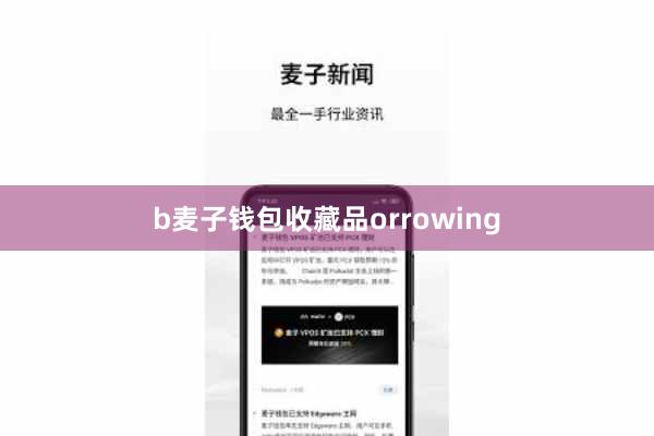 b麦子钱包收藏品orrowing