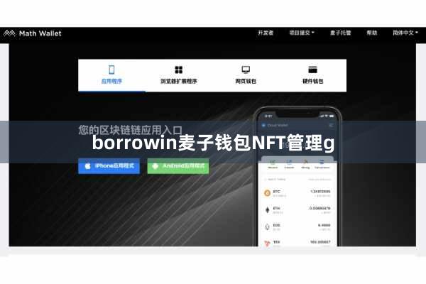 borrowin麦子钱包NFT管理g