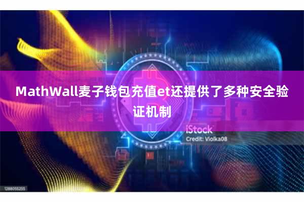 MathWall麦子钱包充值et还提供了多种安全验证机制