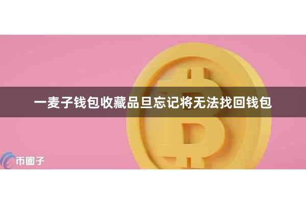一麦子钱包收藏品旦忘记将无法找回钱包