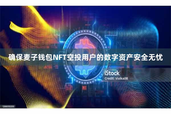 确保麦子钱包NFT空投用户的数字资产安全无忧