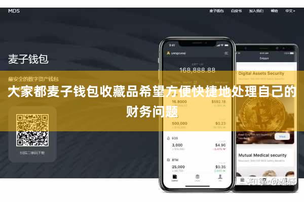 大家都麦子钱包收藏品希望方便快捷地处理自己的财务问题