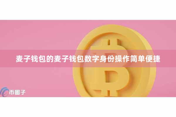 麦子钱包的麦子钱包数字身份操作简单便捷