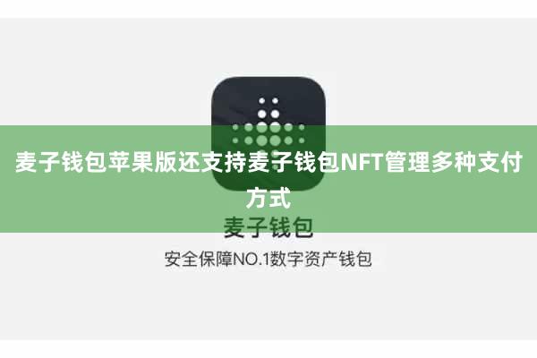 麦子钱包苹果版还支持麦子钱包NFT管理多种支付方式