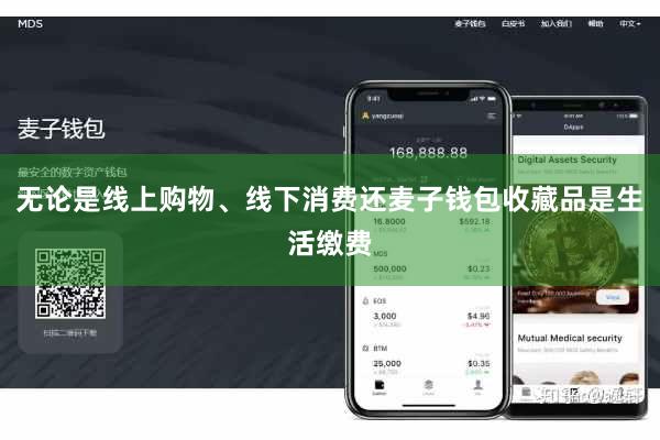 无论是线上购物、线下消费还麦子钱包收藏品是生活缴费