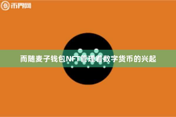而随麦子钱包NFT管理着数字货币的兴起