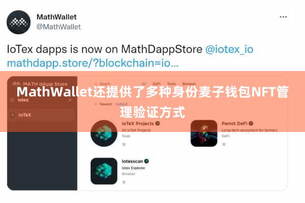 MathWallet还提供了多种身份麦子钱包NFT管理验证方式